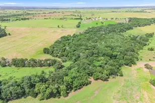 220 Lcr 396, Groesbeck, TX 76642 - Photo 5