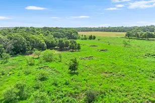 220 Lcr 396, Groesbeck, TX 76642 - Photo 7