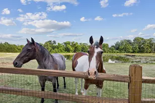 4879 Geren Trail, McKinney, TX 75071 - Photo 39