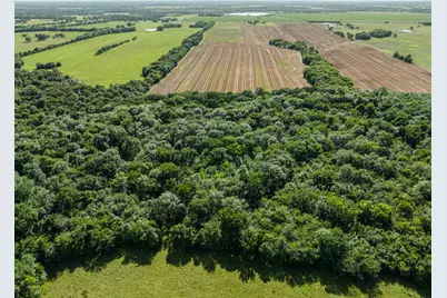 4085 S Fm 196, Blossom, TX 75416 - Photo 3