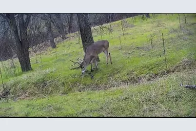 771 Hcr 2233, West, TX 76691 - Photo 25