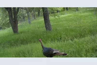 771 Hcr 2233, West, TX 76691 - Photo 27