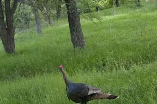 771 Hcr 2233, West, TX 76691 - Photo 27