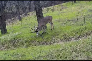 771 Hcr 2233, West, TX 76691 - Photo 23