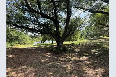 1708 S US Highway 69, Mineola, TX 75773 - Photo 11