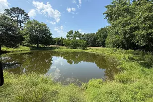 1708 S US Hwy 69, Mineola, TX 75773 - Photo 3