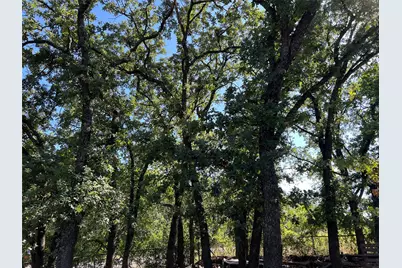 4129 Cactus Drive, Argyle, TX 76226 - Photo 1