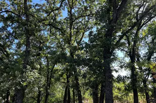 4129 Cactus Dr, Argyle, TX 76226 - Photo 1