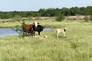 Tbd S Fm148 St, Crandall, TX 75114 - Photo 7