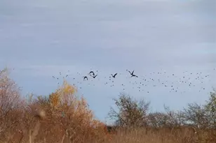 Tbd S Fm148 St, Crandall, TX 75114 - Photo 5