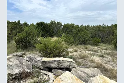 1170 Lighthouse, Bluff Dale, TX 76433 - Photo 9