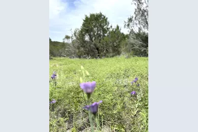 1170 Lighthouse, Bluff Dale, TX 76433 - Photo 17