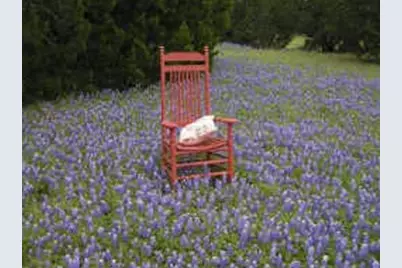 14024 Sandy Oaks Drive, Whitney, TX 76692 - Photo 23