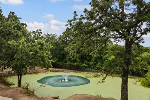 396 Wild Hill Oak Dr, Springtown, TX 76082 - Photo 3