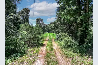 0 Pvt Rd 6142, Wills Point, TX 75169 - Photo 21