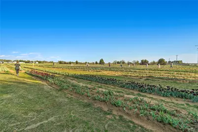 14219 Bacton Road, Pilot Point, TX 76258 - Photo 39