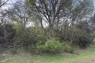 0000 Private Road 1212, Kopperl, TX 76652 - Photo 1