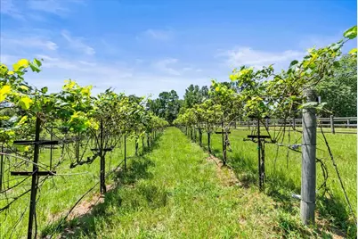 2575 Cr 2724, Mineola, TX 75773 - Photo 3