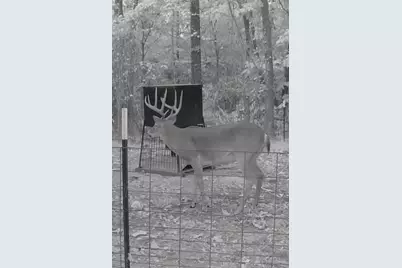 2575 Cr 2724, Mineola, TX 75773 - Photo 33