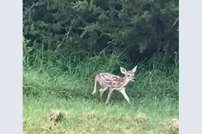 17059 Trailwood Drive, Whitney, TX 76692 - Photo 7