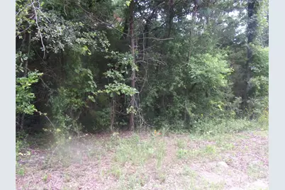 Tbd Holly Glen, Murchison, TX 75778 - Photo 5