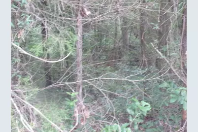 Tbd Holly Glen, Murchison, TX 75778 - Photo 3