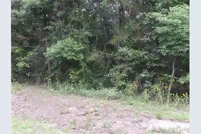 Tbd Holly Glen, Murchison, TX 75778 - Photo 7