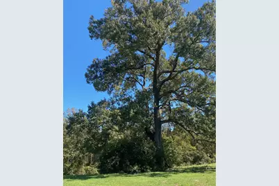 009 County Rd 242, Oakwood, TX 75855 - Photo 3