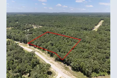 3289 Shadow Pine Drive, LaRue, TX 75770 - Photo 3