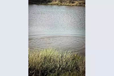 19774 Fm 47, Wills Point, TX 75169 - Photo 3