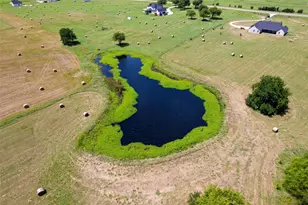 4411 FM 751, Wills Point, TX 75169 - Photo 5