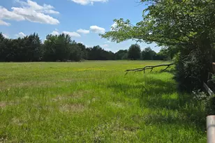 12077 Co Rd 1200, Malakoff, TX 75148 - Photo 5