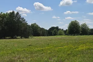 12077 Co Rd 1200, Malakoff, TX 75148 - Photo 3