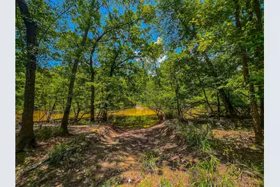 Tbd County Road 1906, Jacksonville, TX 75766 - Photo 13