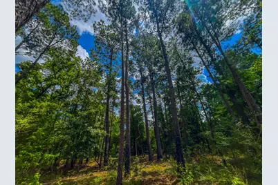 Tbd County Road 1906, Jacksonville, TX 75766 - Photo 33