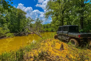 Tbd County Road 1906, Jacksonville, TX 75766 - Photo 1