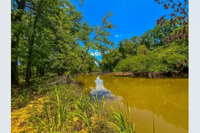 Tbd County Road 1906, Jacksonville, TX 75766 - Photo 23