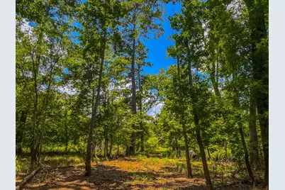 Tbd County Road 1906, Jacksonville, TX 75766 - Photo 21