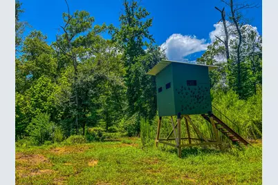 Tbd County Road 1906, Jacksonville, TX 75766 - Photo 11