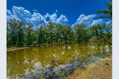 Tbd County Road 1906, Jacksonville, TX 75766 - Photo 3