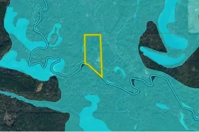 Tbd County Road 1906, Jacksonville, TX 75766 - Photo 39