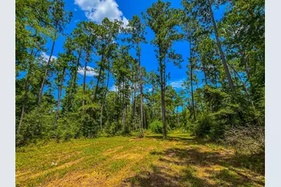 Tbd County Road 1906, Jacksonville, TX 75766 - Photo 29