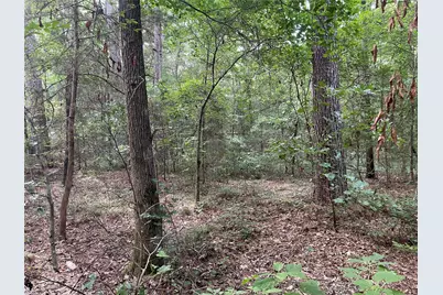 Tbd Fm-16, Winona, TX 75792 - Photo 9