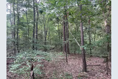 Tbd Fm-16, Winona, TX 75792 - Photo 1