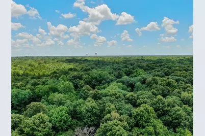 Tbd Shelby Lane, Ladonia, TX 75449 - Photo 3