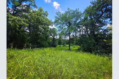 Tbd Shelby Lane, Ladonia, TX 75449 - Photo 7