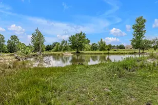 9500 Nacogdoches Tr, Forney, TX 75126 - Photo 29