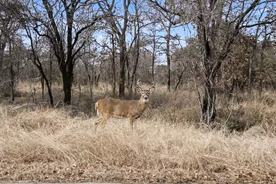 10500 Estancia Court, Fort Worth, TX 76108 - Photo 39