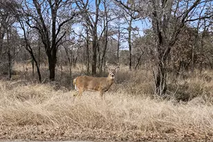 10500 Estancia Ct, Fort Worth, TX 76108 - Photo 39