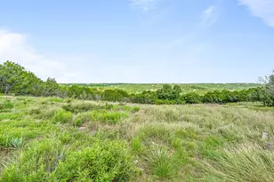 305 Blue Marlin Dr, Bluff Dale, TX 76433 - Photo 37